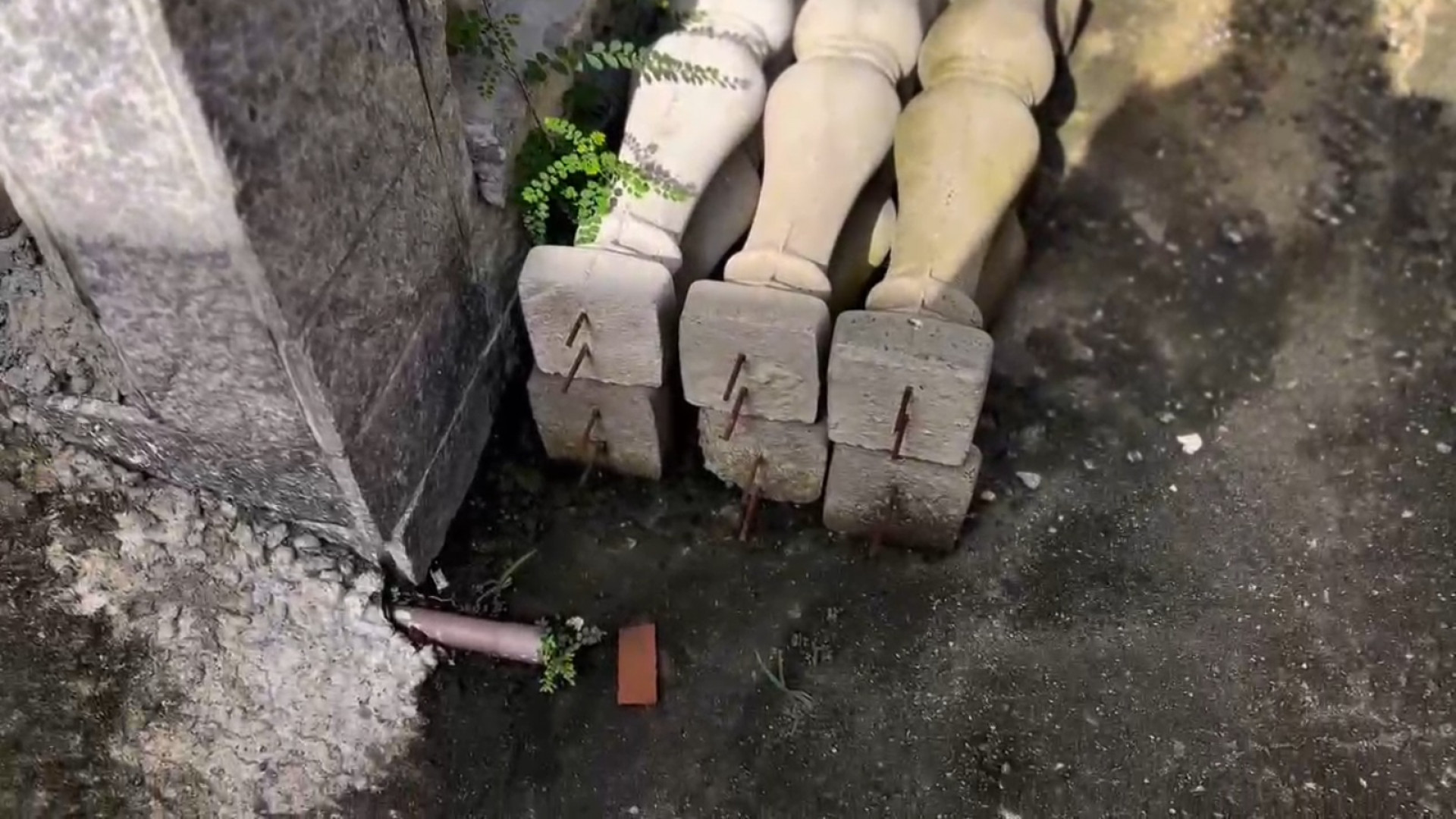 Idosos viviam em condições precárias em uma casa de repouso clandestina de Campo Grande - Reprodução