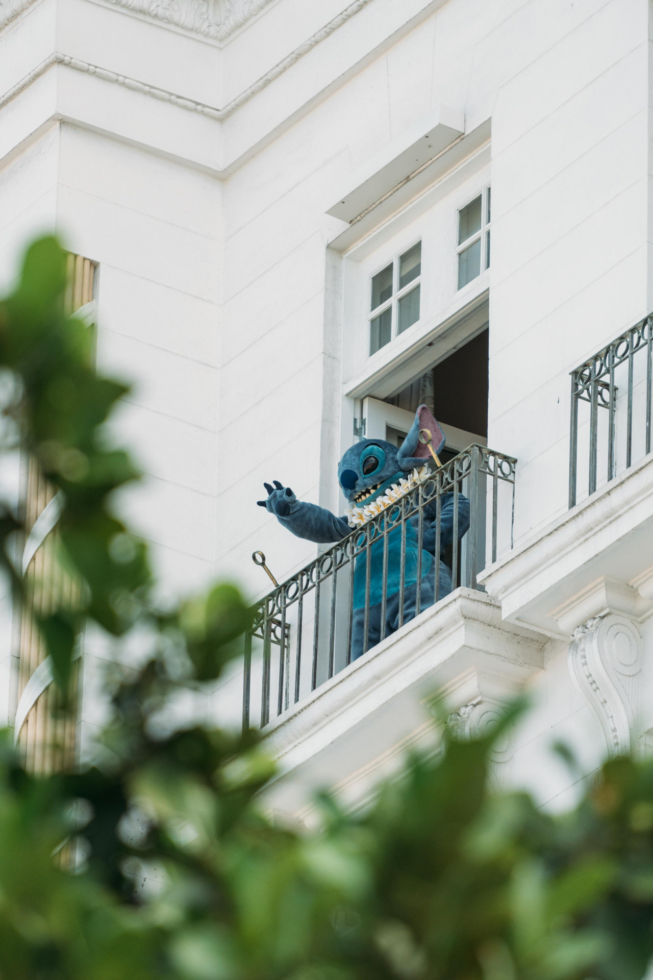 Stitch aparece de surpresa em varanda do Copacabana Palace para fãs da Lady Gaga - Divulgação