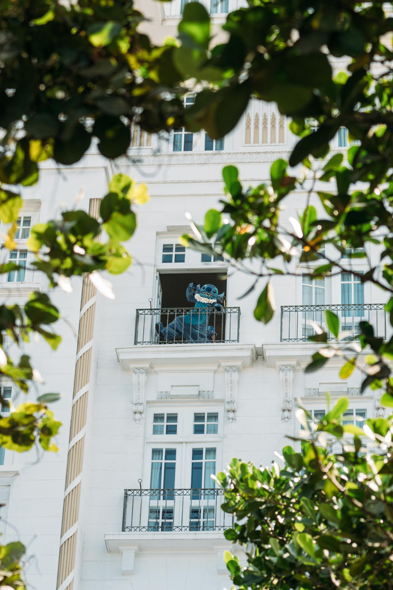 Stitch aparece de surpresa em varanda do Copacabana Palace para fãs da Lady Gaga - Divulgação
