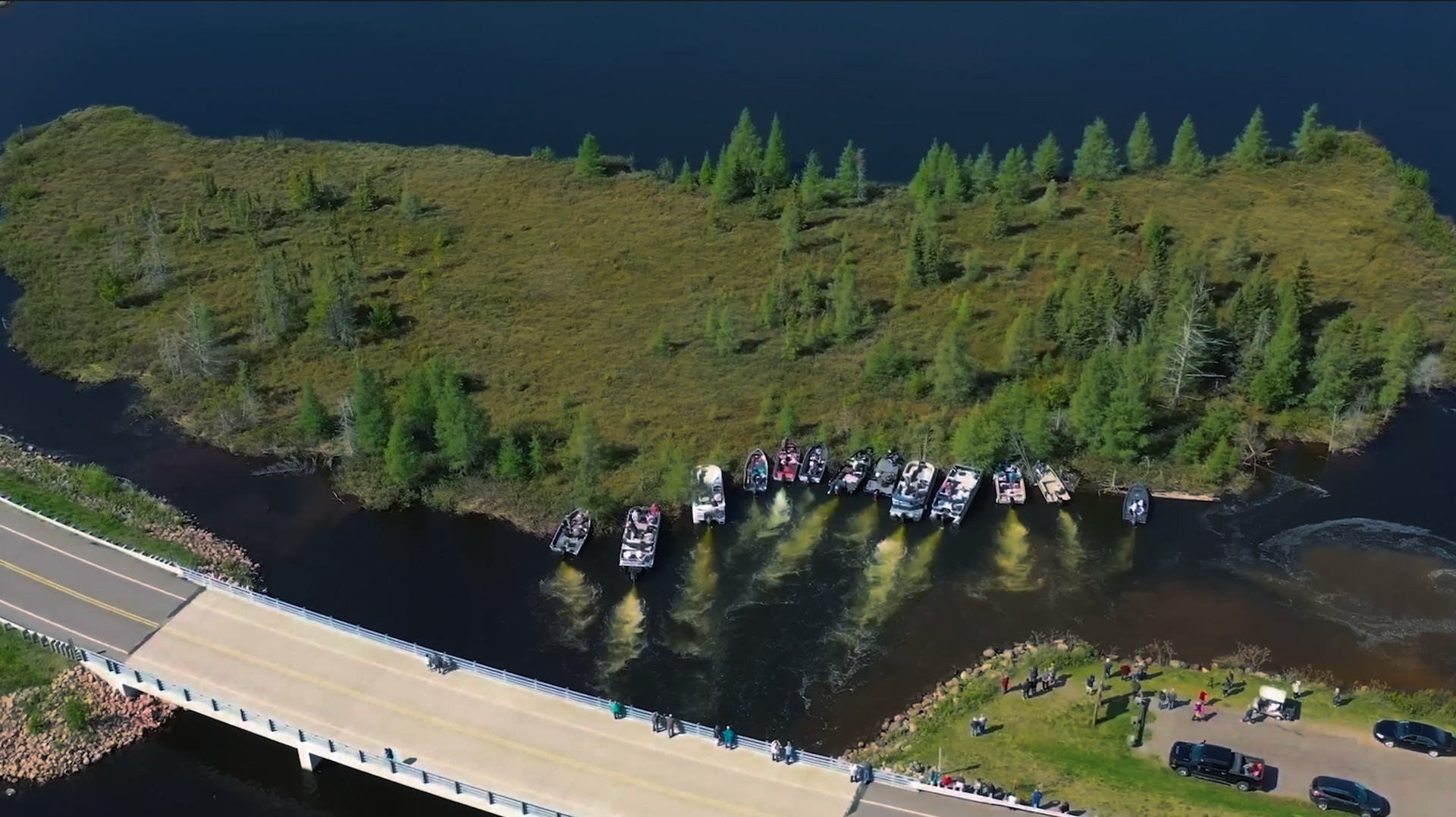  'Green Gray Black Brown', de Yuyan Wang - Reprodução/Divulgação