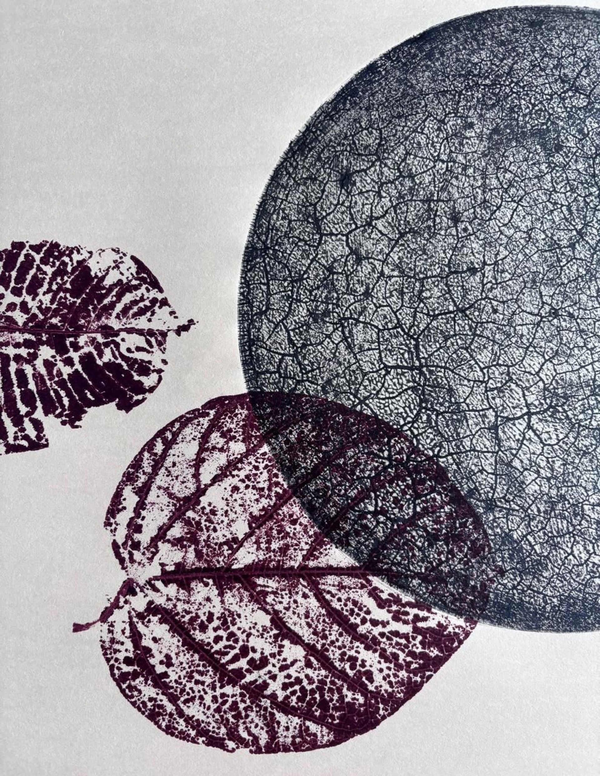 Cursos são oferecidos no local