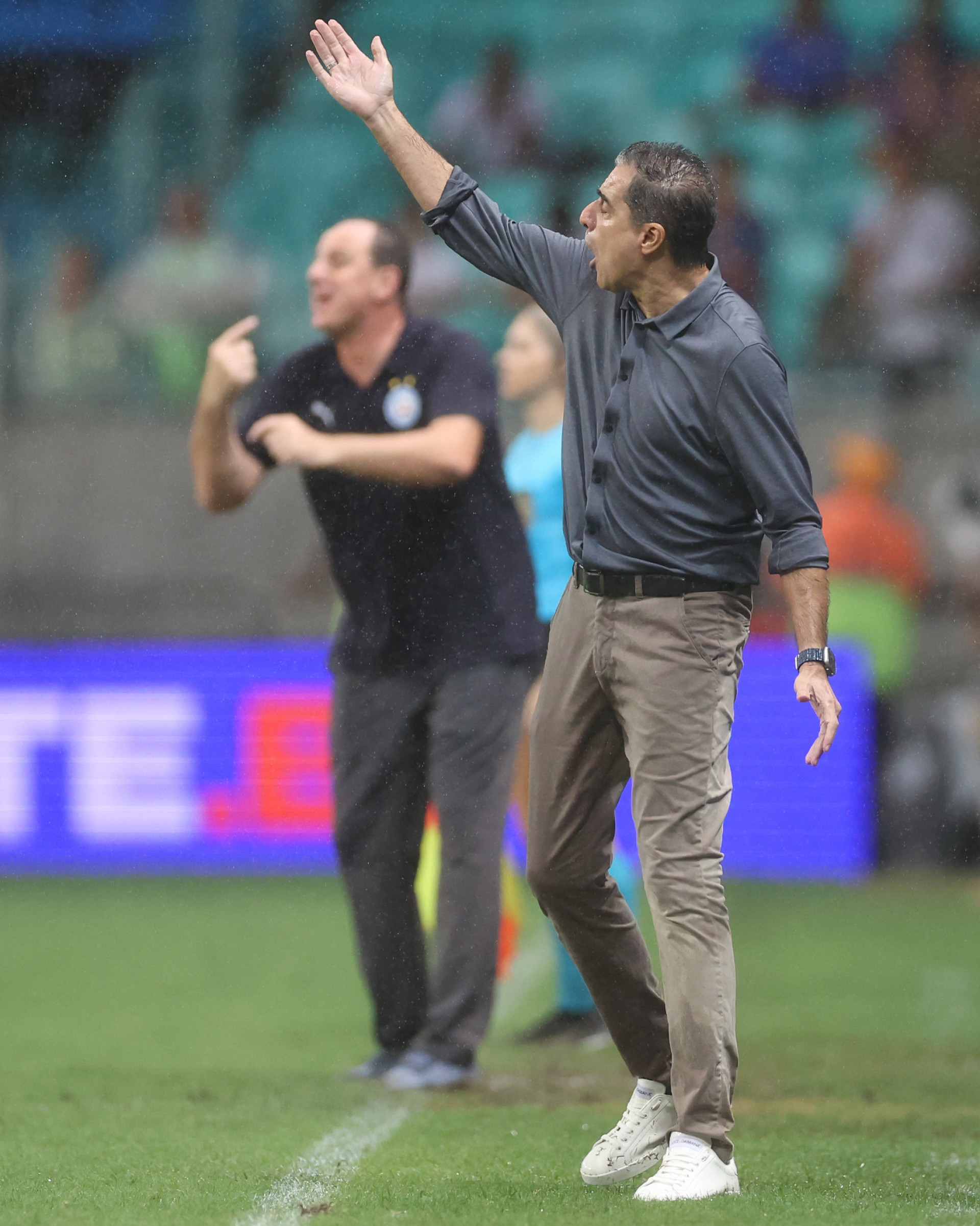 Renato Paiva orienta o Botafogo no jogo contra o Bahia - Vítor Silva/Botafogo