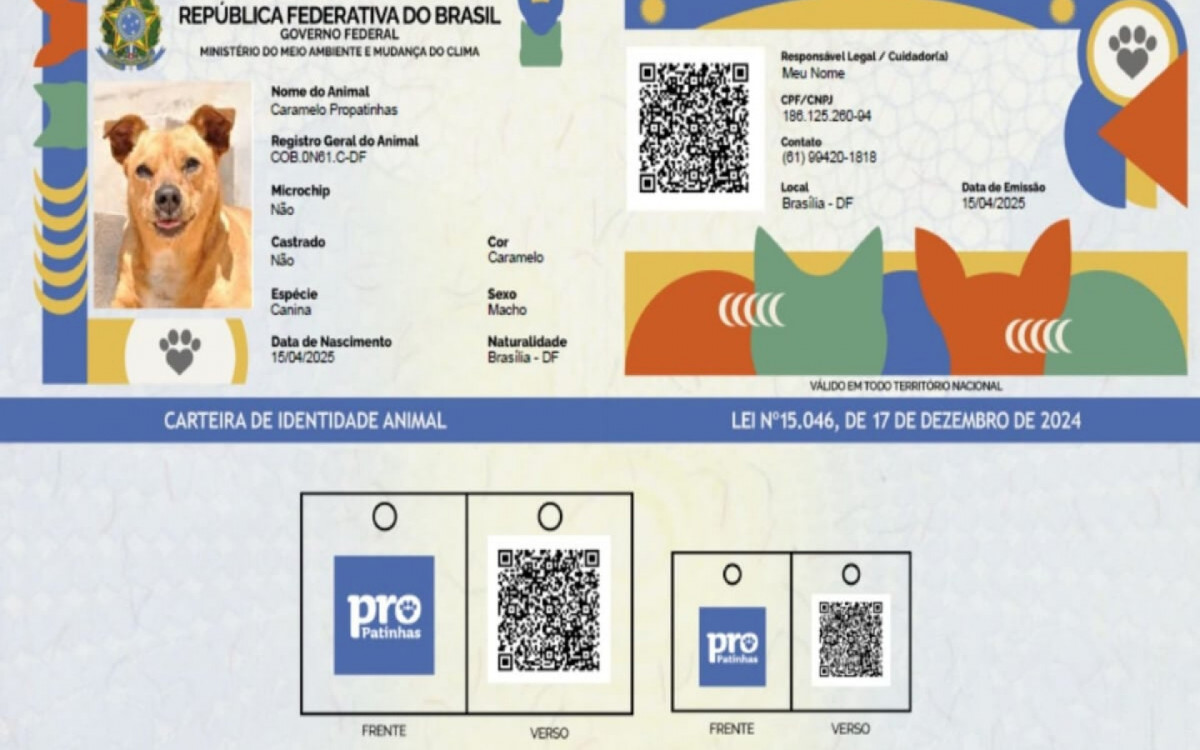 O RG Animal facilita a identifica&ccedil;&atilde;o de c&atilde;es e gatos (Imagem: Planalto | Divulga&ccedil;&atilde;o)