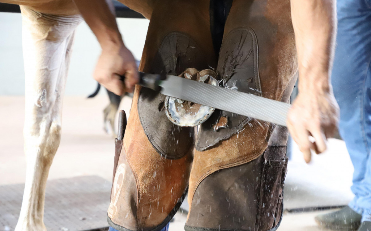 Mattheis Borg completa 130 anos