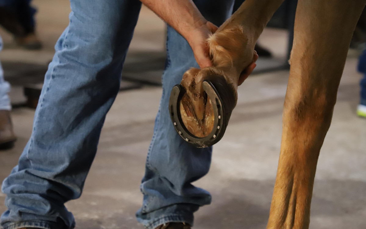 Mattheis Borg completa 130 anos