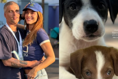 Giovanna Ewbank e Bruno Gagliasso resgatam oito cachorros na estrada