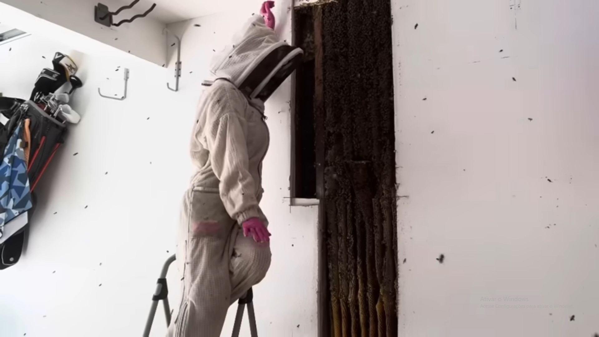 Bixler compartilhou o processo de remoção da colônia nas redes sociais - Reprodução / YouTube