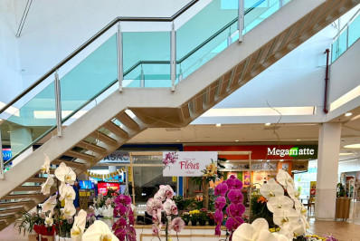 Caxias Shopping recebe Feira de Flores com orquídeas exuberantes