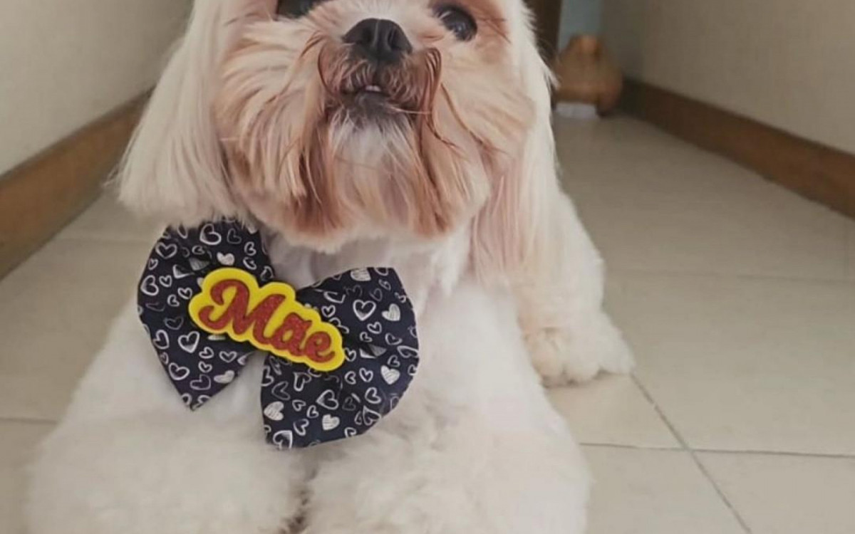 Dedeus é o xodó da \'mamãe\'