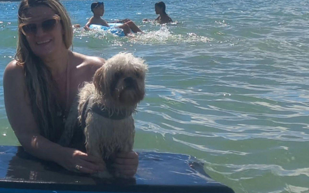 Arteiro, ele gosta de aventuras