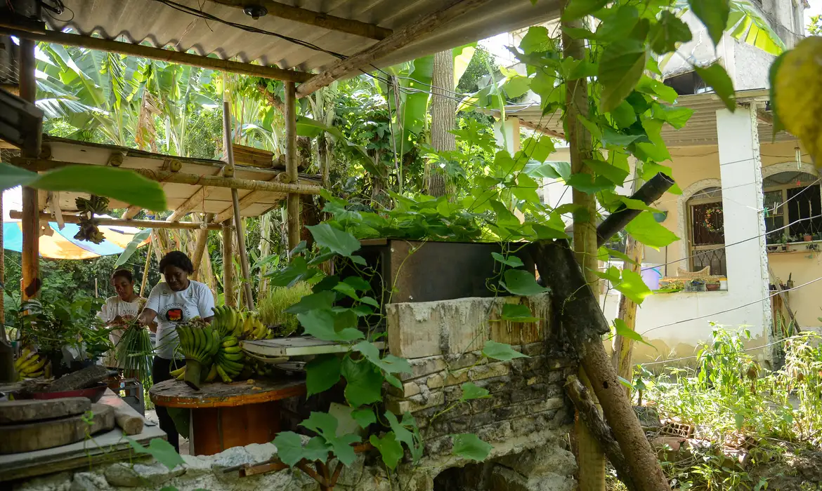 IBGE aponta que seis em cada dez quilombolas vivem em área rural