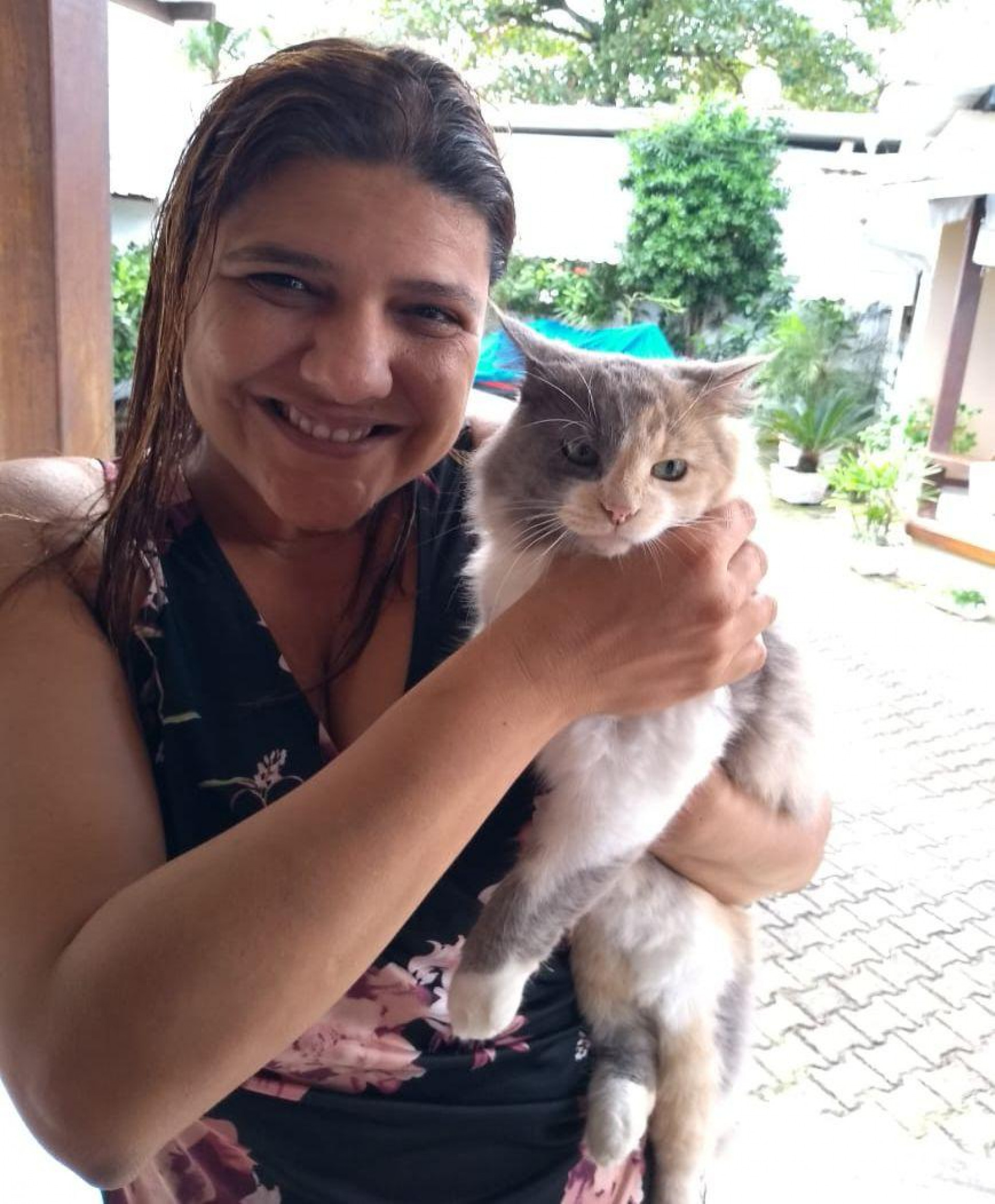 A travessa gatinha Mia é um dos quatro \'filhos\' da advogada Ana Emília