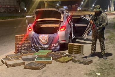 Homem é preso com 667 aves silvestres em Itaboraí