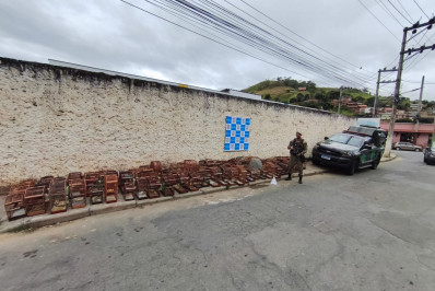 Polícia Ambiental apreende 76 pássaros silvestres em Paraíba do Sul