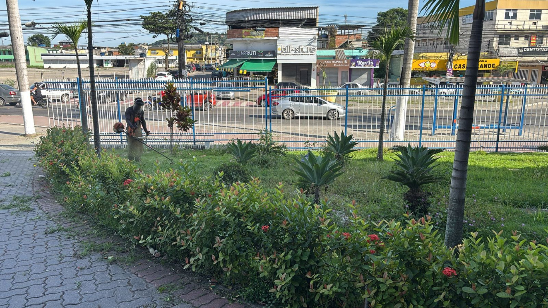 Os jardins da Prefeitura ganharam um novo tratamento paisag&iacute;stico - Divulga&ccedil;&atilde;o / PMBR