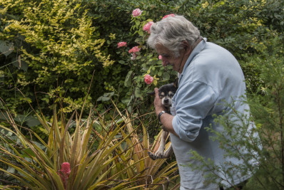 Mujica tinha desejo de ser enterrado ao lado de cachorra em fazenda