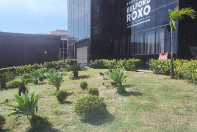Belford Roxo: Pátio da Prefeitura ganha cara nova com arborização e bairros recebem mutirão de limpeza
