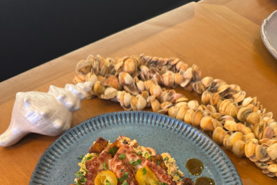 Niterói tem representantes na 19ª edição do Brasil Sabor