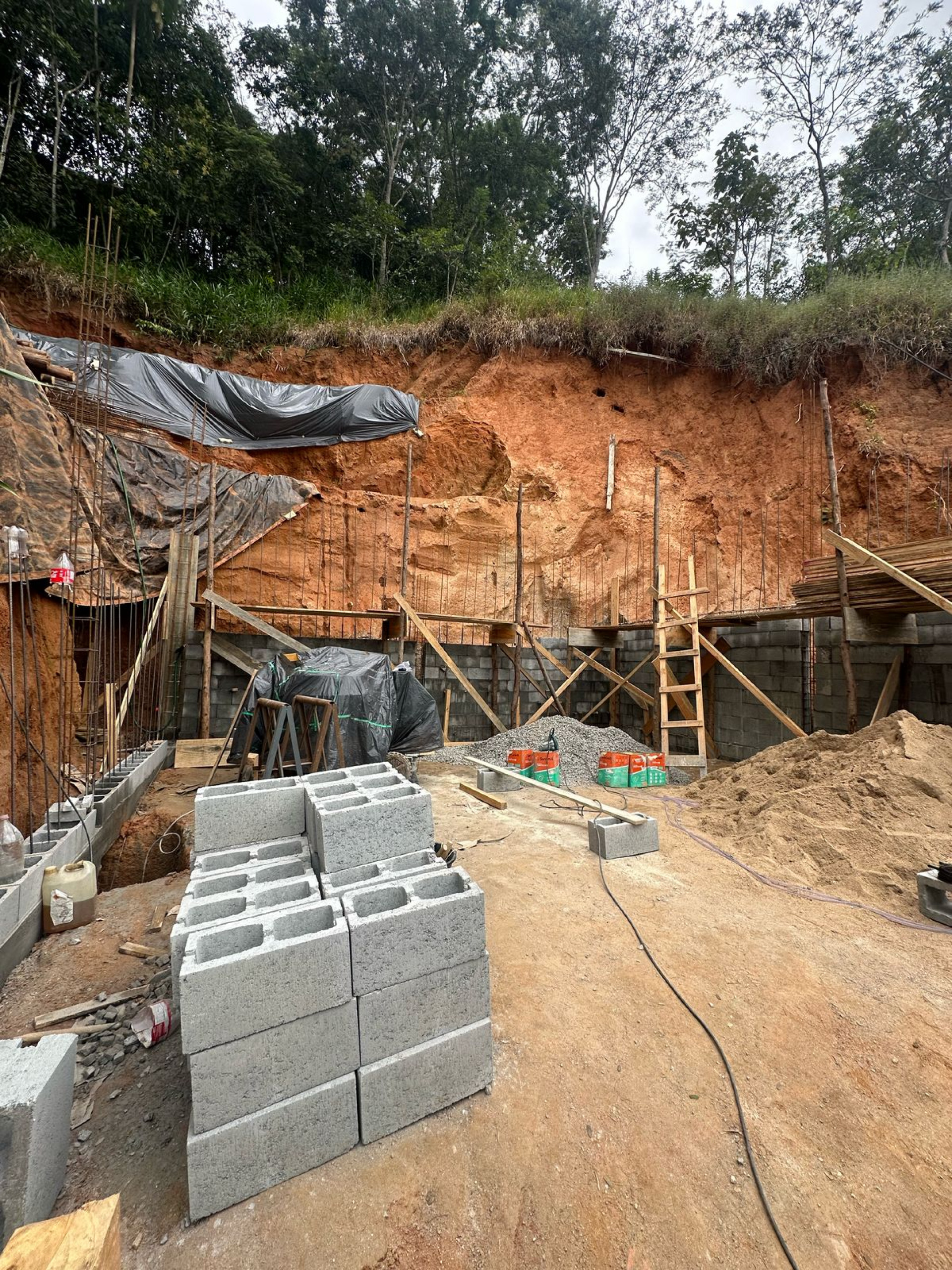 Ação ocorreu após denúncia feita ao Linha Verde