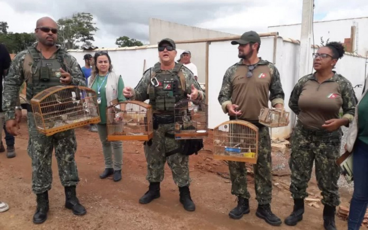 Fiscalização ambiental 