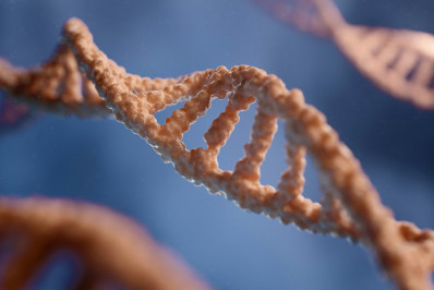 Mapa genético dos brasileiros: veja cinco novidades desvendadas em estudo inédito