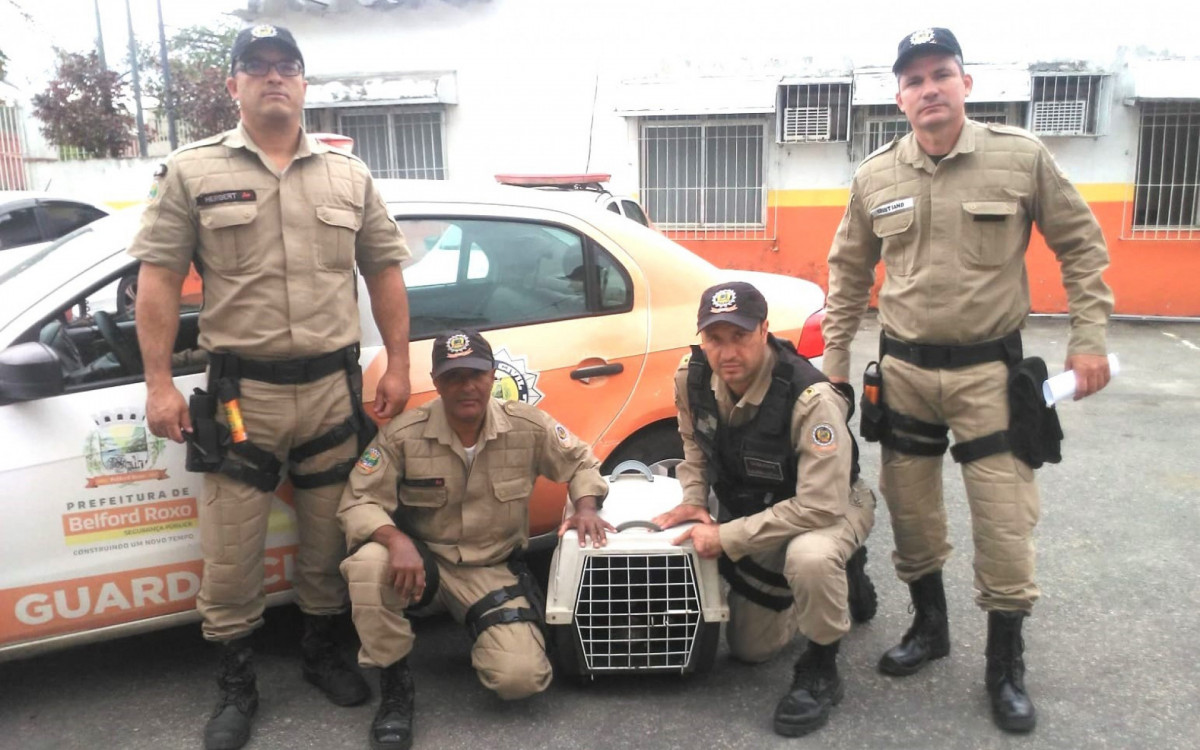 A Guarda Municipal tem uma série de atribuições que visam a defesa do cidadão