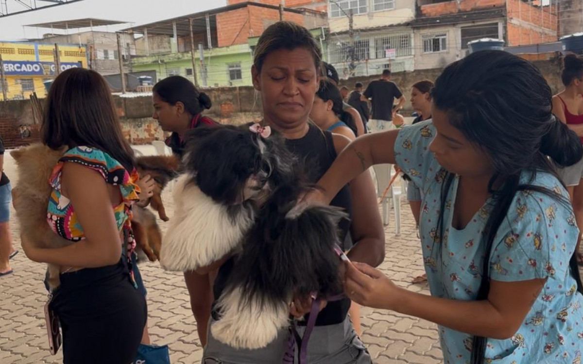 Jaqueline Souza levou a cadelinha Chiara, uma shih-tzu de oito meses