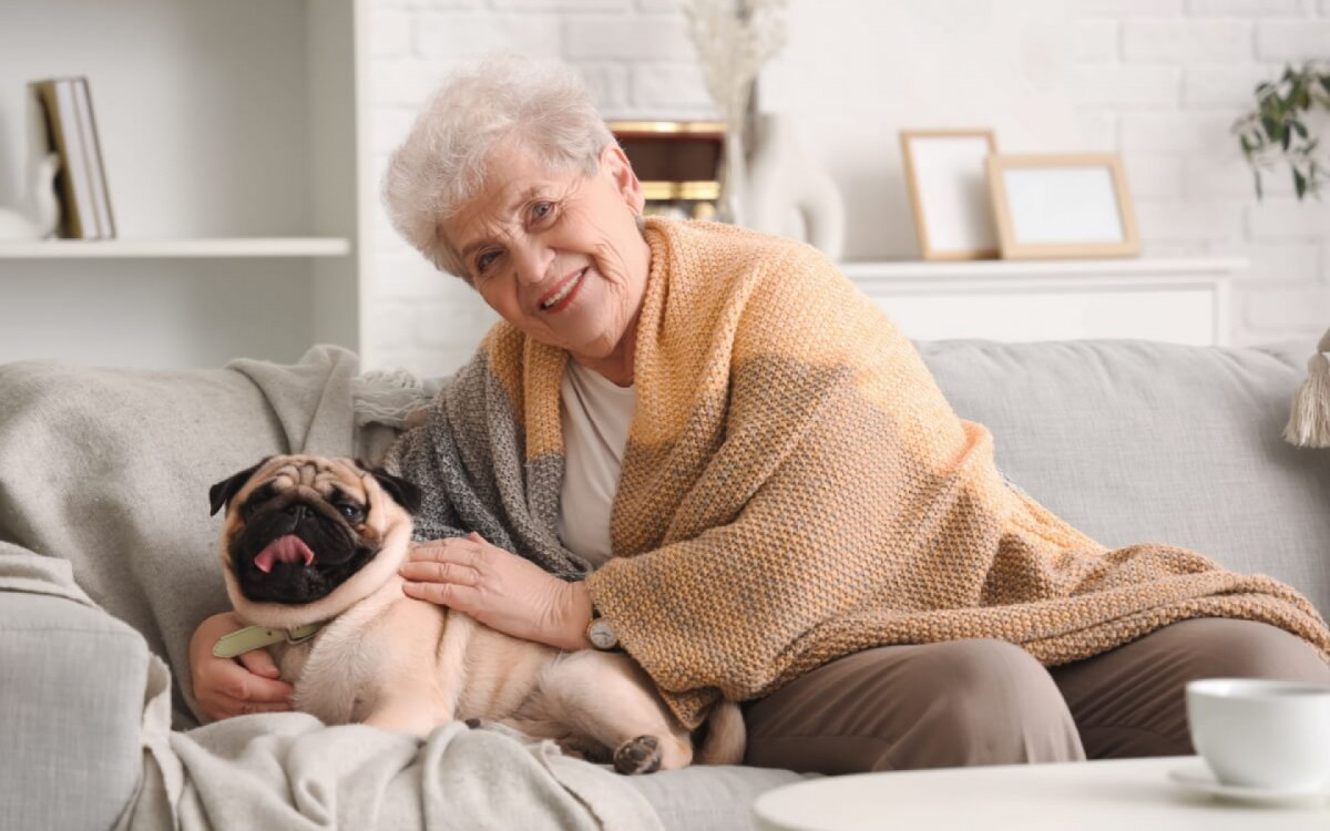 Algumas ra&ccedil;as de cachorro s&atilde;o ideais para pessoas idosas (Imagem: Pixel-Shot | Shutterstock)