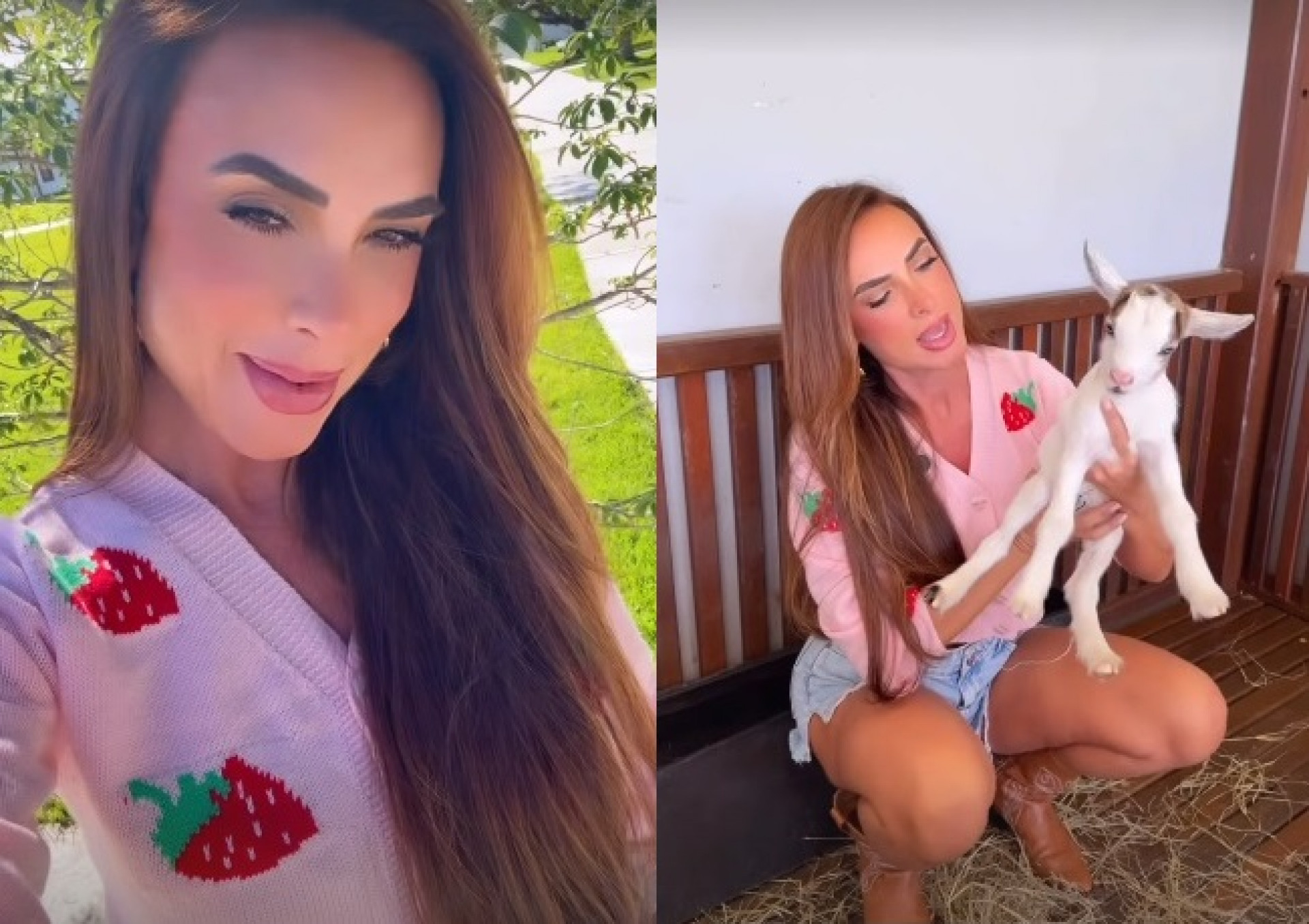 Nicole Bahls batizou mini cabra com o nome de Tatá Werneck - Reprodução/Instagram