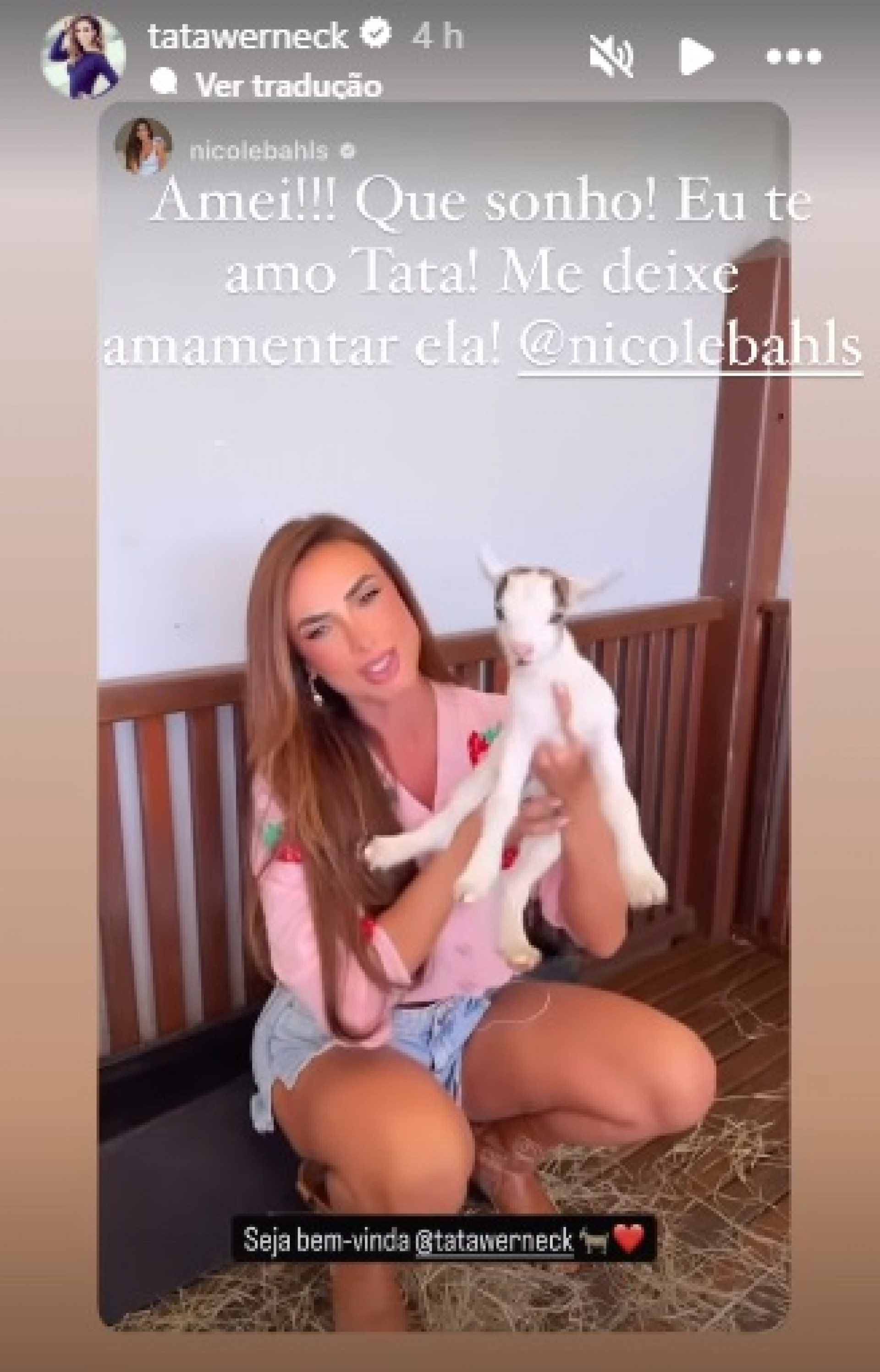 Tatá Werneck reagiu ao ter seu nome escolhido para mini cabra de Nicole Bahls - Reprodução/Instagram