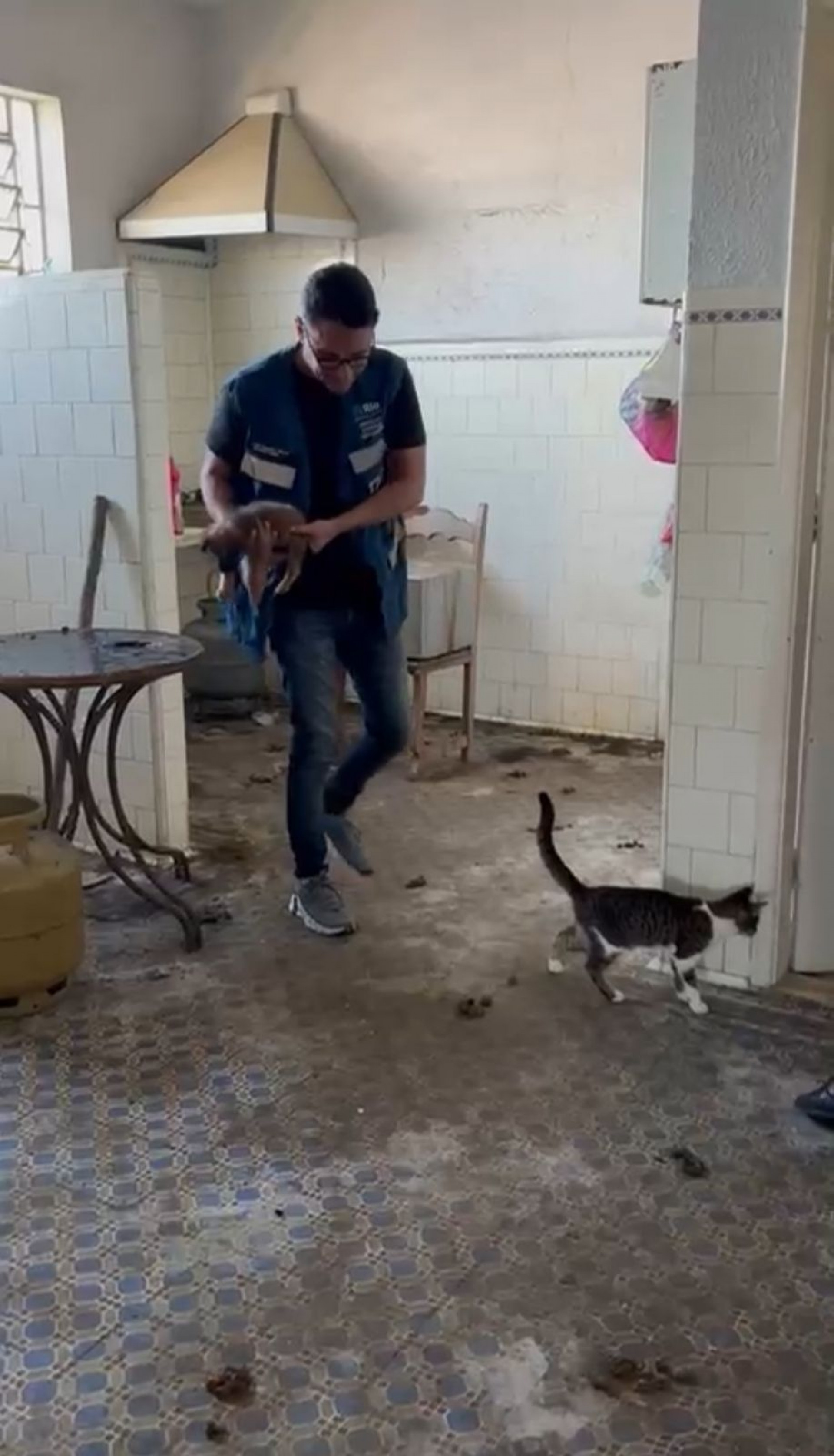 Equipes da Secretaria Municipal de Proteção e Defesa dos Animais realizaram o resgate