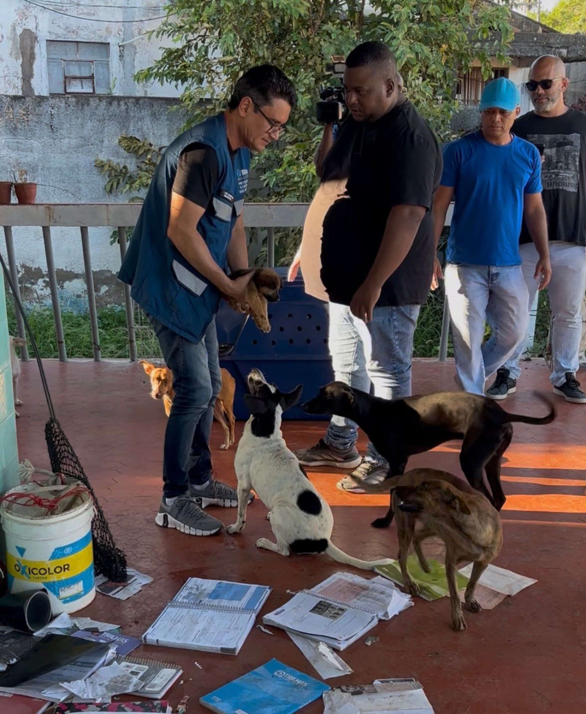 Equipes da Secretaria Municipal de Proteção e Defesa dos Animais realizaram o resgate
