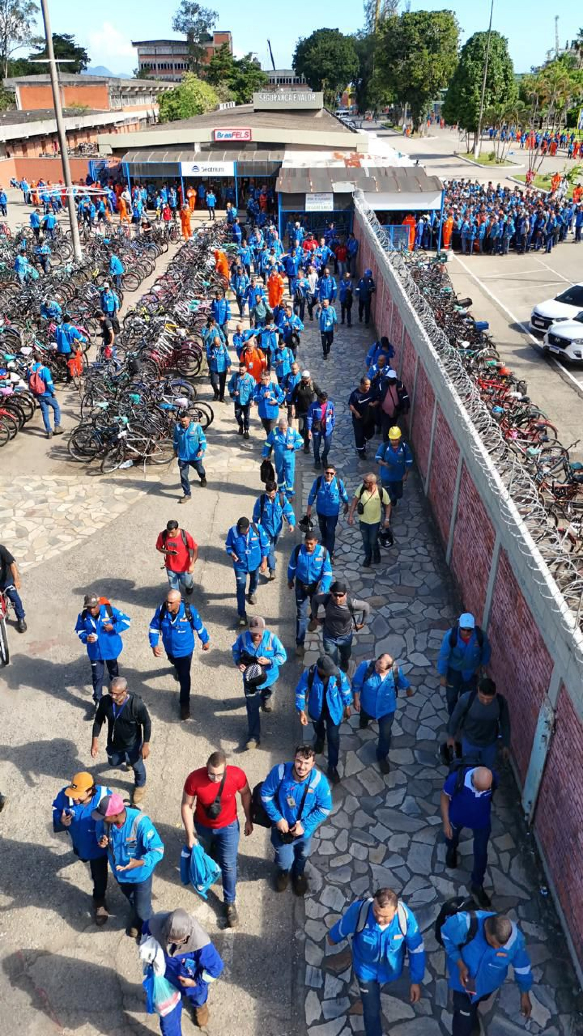 Brasfels  - Divulga&ccedil;&atilde;o/assessoria deputada