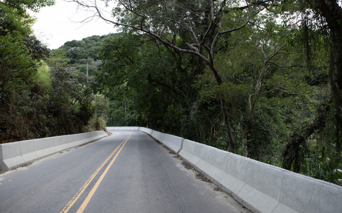 Entre os serviços executados estão drenagem, pavimentação, implantação de quatro quilômetros de barreiras new jersey e a plantação de sete mil mudas de árvores