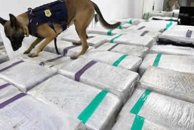 PRF apreende cerca de três toneladas de maconha em caminhão frigorífico na Dutra