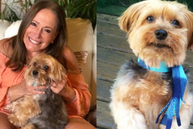 Susana Vieira lamenta morte de cachorro: 'Adeus amor da minha vida'