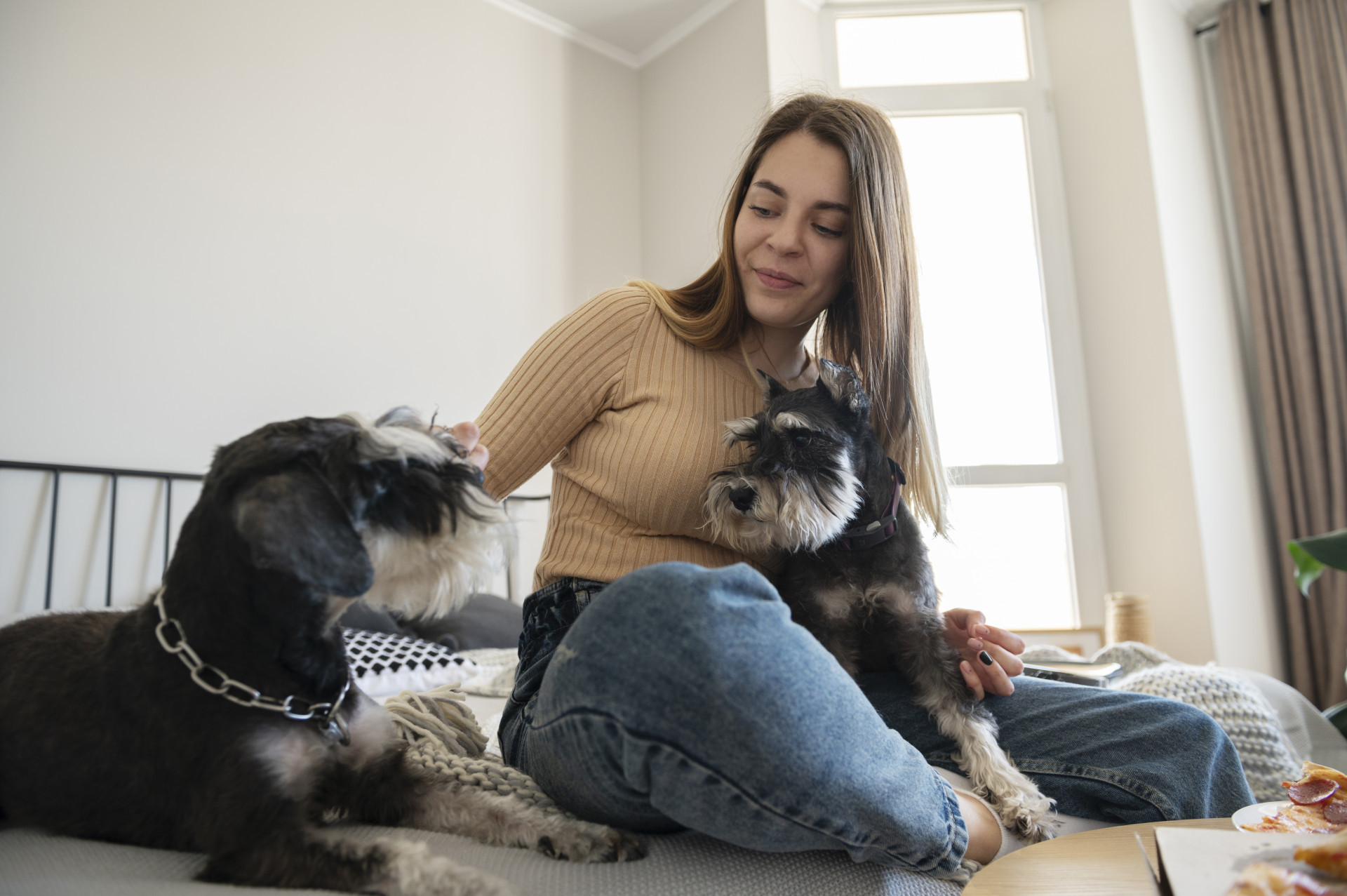 C&atilde;oversa ? C&atilde;es em Apartamentos: boas pr&aacute;ticas para um c&atilde;o mais saud&aacute;vel e comportado - Freepik