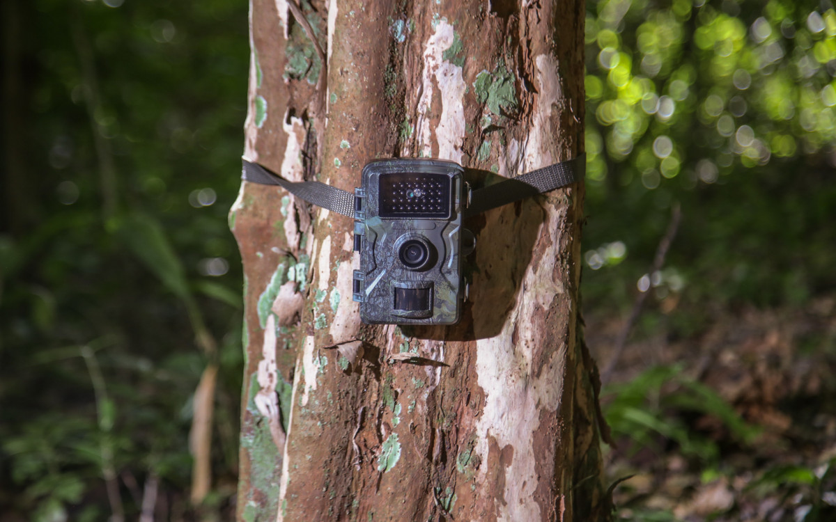 Instala&ccedil;&atilde;o das c&acirc;meras que v&atilde;o monitorar a fauna silvestre do estado do Rio - Reprodu&ccedil;&atilde;o / Governo do Rio de Janeiro
