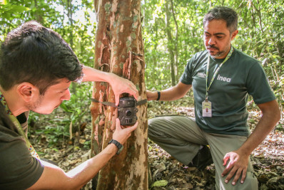 Estado ganha 480 câmeras para monitorar fauna silvestre do Rio