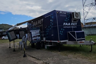 Programa de castração gratuita em Três Rios atendeu mais de 450 animais nesta etapa