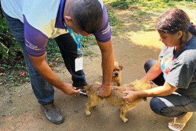 Vacinação antirrábica avança na serra e protege a vida de cães, gatos e moradores