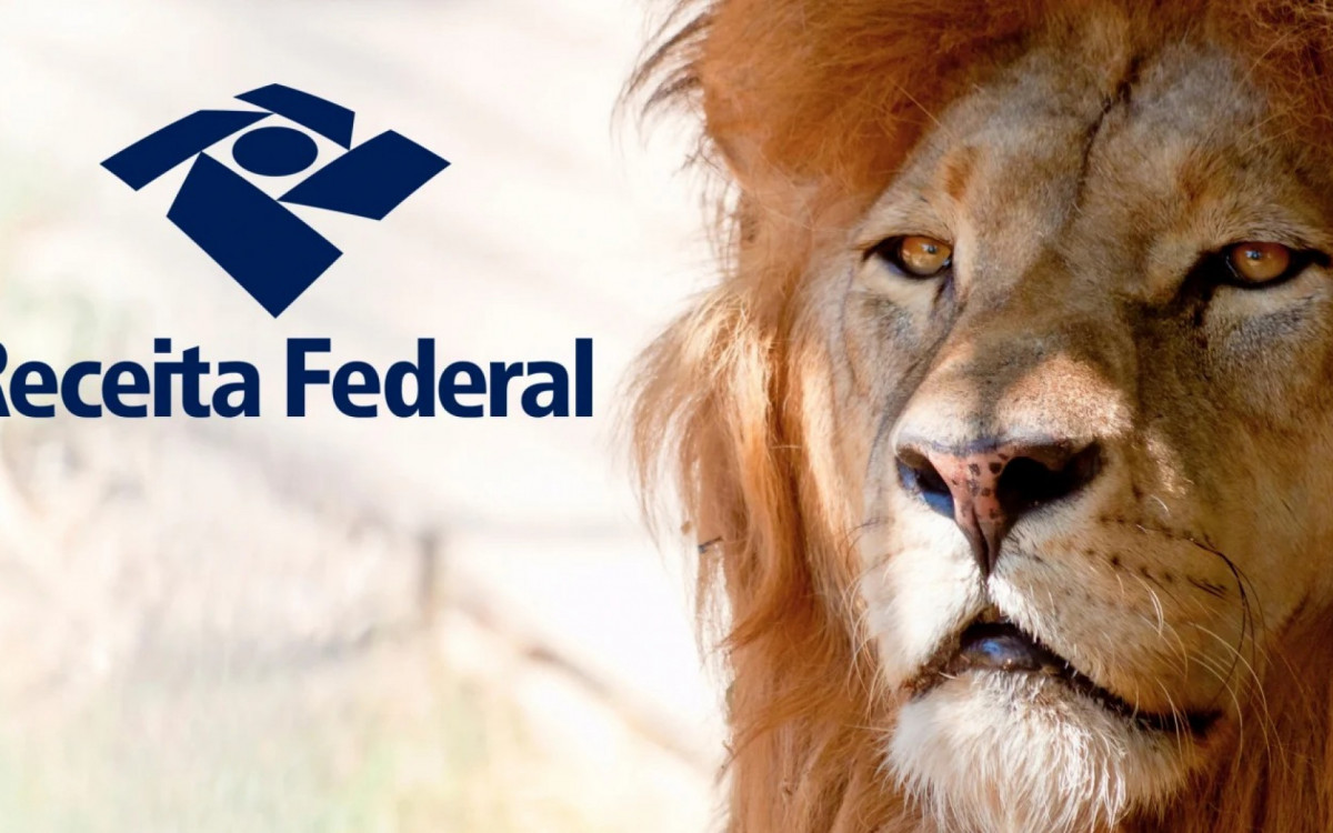 Preste atenção as orientações da Receita para não ter problemas com o Leão