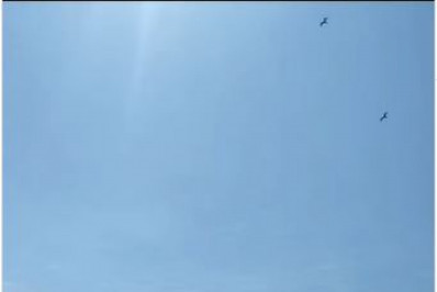 Forte cheiro de produtos químicos preocupa moradores da Ilha do Governador