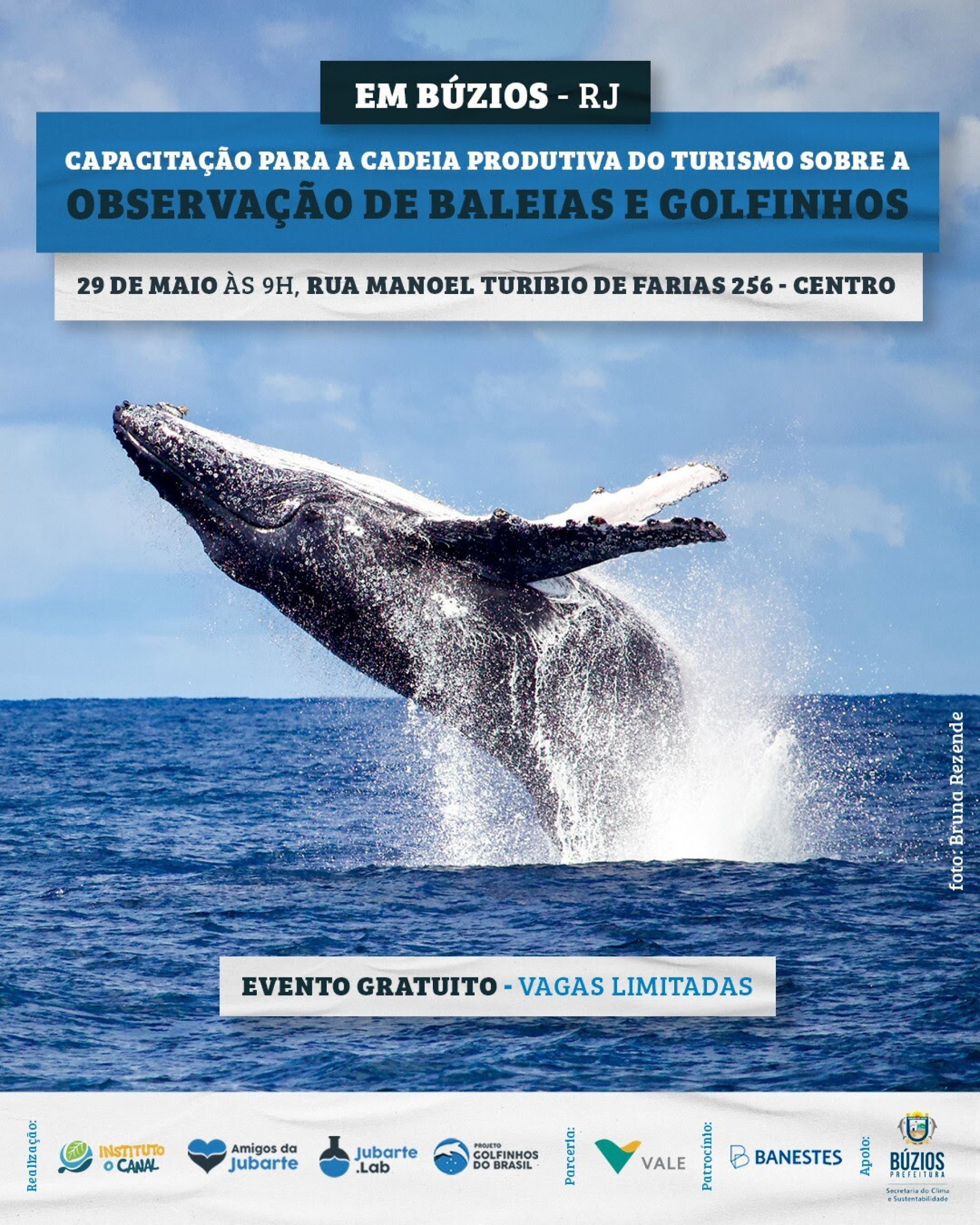 Divulgação  - Ascom