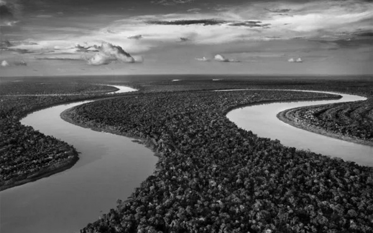 Fotografia da mata e dos dois rios, da série Genêsis