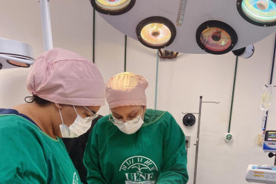 R$ 6 milhões para modernizar hospitais veterinários universitários no RJ