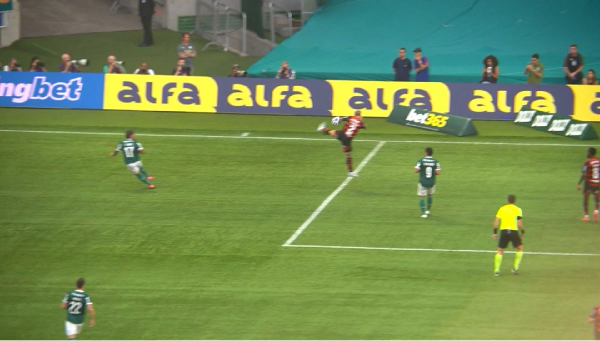 P&ecirc;nalti marcado a favor do Palmeiras no jogo contra o Flamengo - Reprodu&ccedil;&atilde;o/CBF