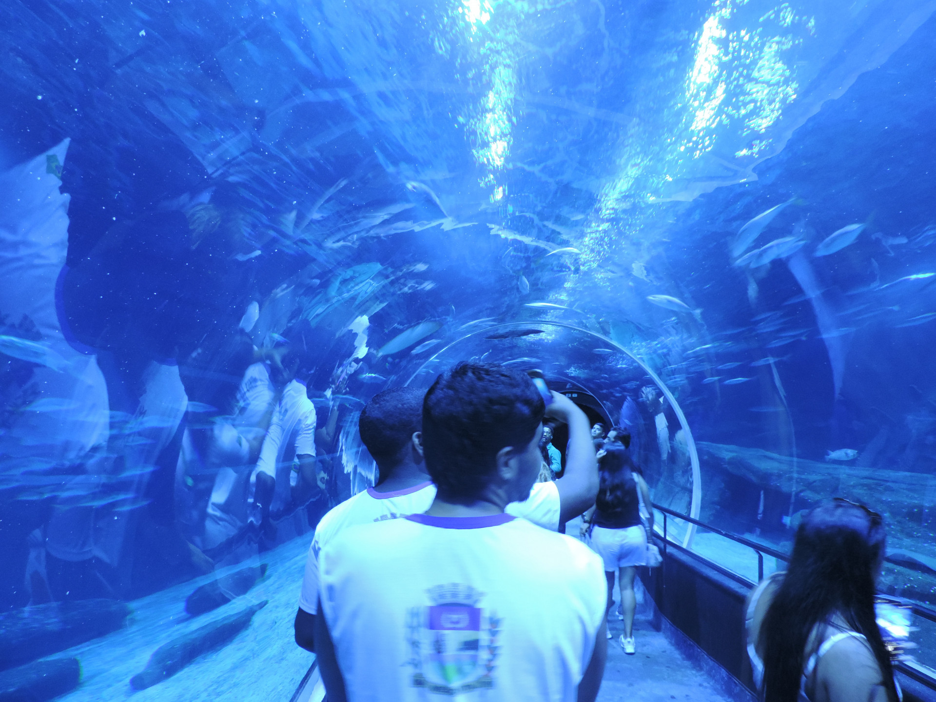 Passeio possibilitou aos alunos conhecimentos sobre vida marinha de forma interativa e divertida   - Jo&atilde;o Pedro de Moraes/ PMM