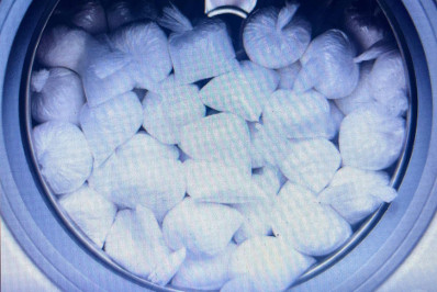 Polícias Civil e Militar prendem dois irmãos