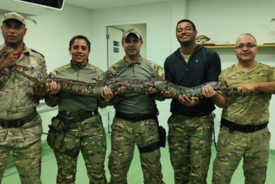 Grupamento Ambiental de Quatis participa de capacitação sobre resgate e manejo de animais silvestres